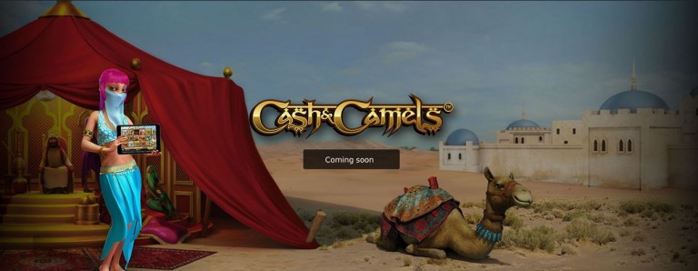 Cash Camels