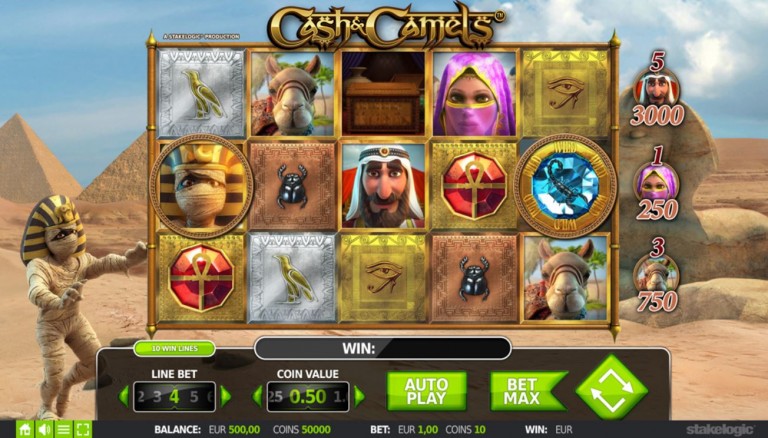 Cash Camels wild