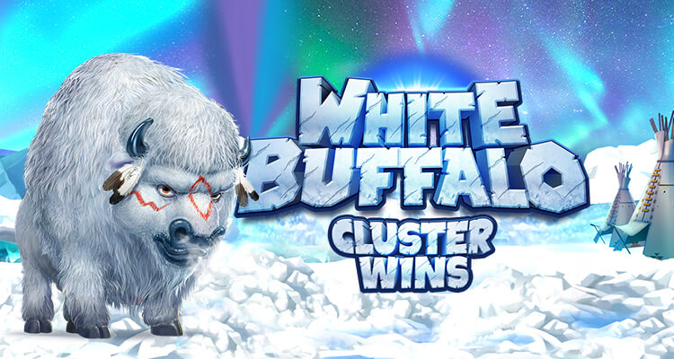 White buffalo Cluster wins videoslot