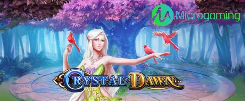 Crystal dawn microgaming