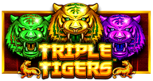 triple tigers