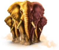stampede elephants character