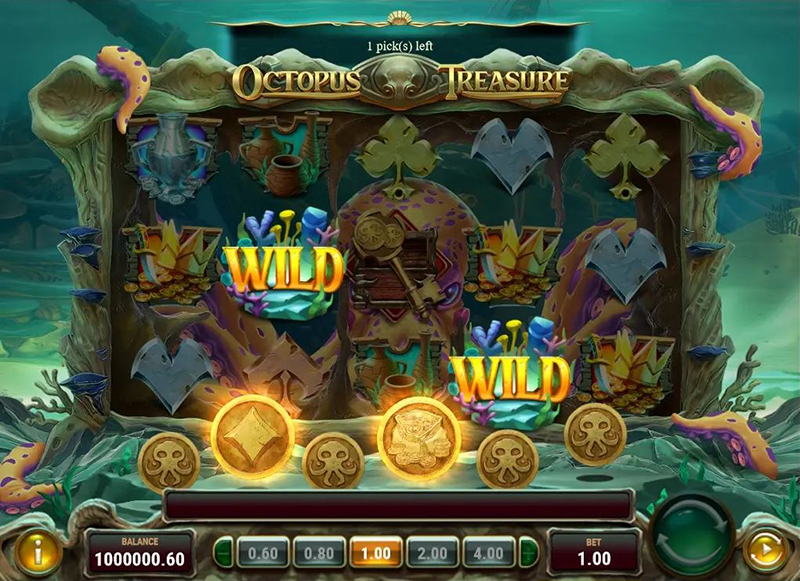 octopus treasure wild