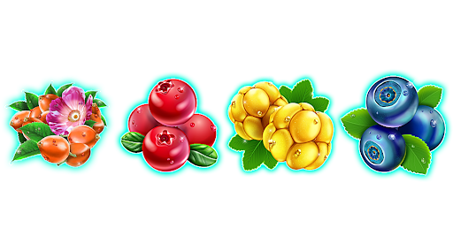 winterberries logo symbols