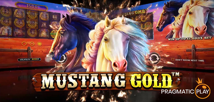 Pragmatic Play volatiliteit video slots