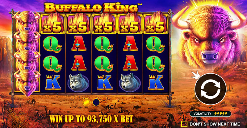 buffalo king win up to x