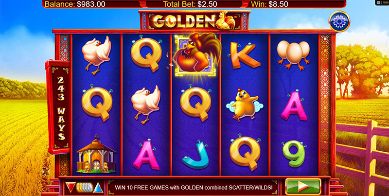 Golden Hen wild