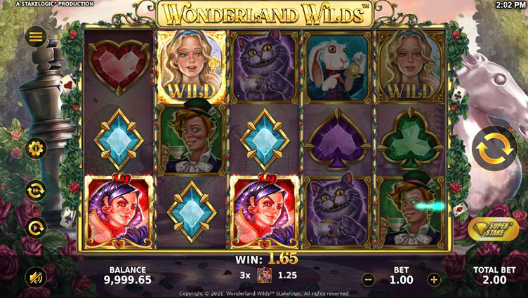 Wonderland Wilds videoslot wild