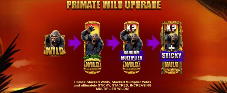 Primate King symbol upgrade
