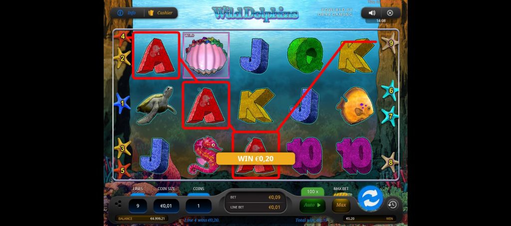 Wild Dolphins slot