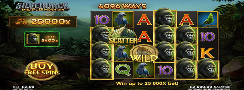 Silverback Multiplier Mountain screenshot