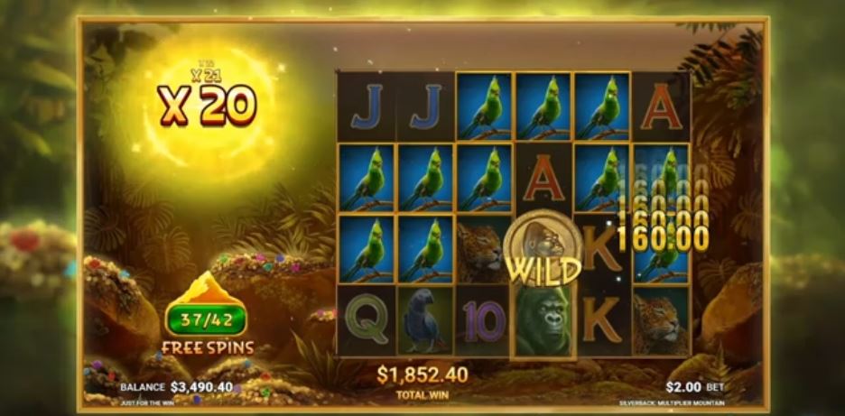 Silverback Multiplier Mountain slot wild