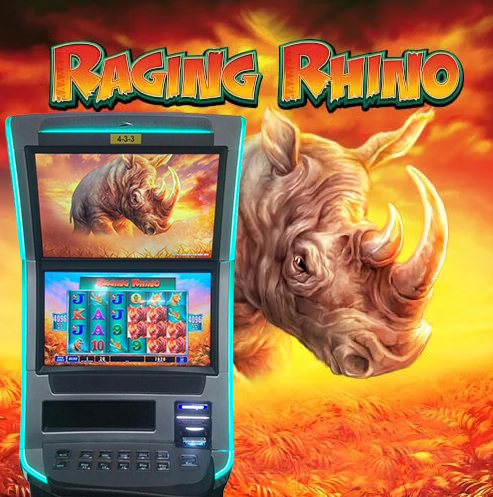 raging rhino