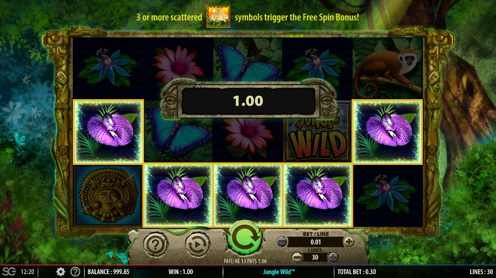 Jungle Wild slot winst